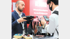 “와인 시음해 보세요”