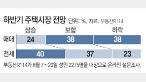 하반기 집값 전망 “하락” 38% ＞“상승” 24% 