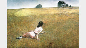 느리게 움직여야 보이는 것들[그림을 읽다/전이린]