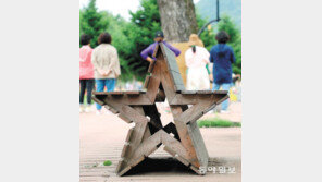 [고양이 눈]땅으로 내려온 별