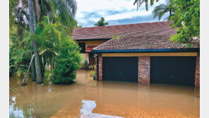 홍수-가뭄-폭염 몰고 온 ‘라니냐’, 내년까지 3년간 지속