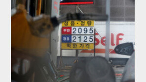 유류세 37% 인하 즉각 반영…“물가안정 방안 지속 발굴”