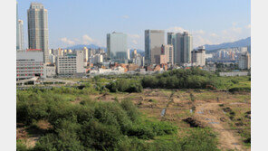 감정가 20억 웃돈에도 “없던 일로”…용산 상가 경매서 무슨 일?