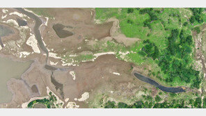 폭우 그치자 무더위…서울·경기 전역에 폭염주의보 발효