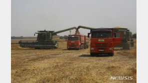 러시아 밀 수출, 4·5월 두자릿수↑…“풍작도 기대”