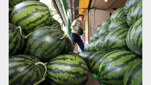 ‘전국 폭염’ 최고 35도 무더위…경기·충청 등 소나기