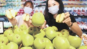 과즙 풍부한 햇사과