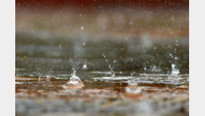 5일 전국 ‘무덥고 불쾌한’ 날씨, 오후 한때 소나기…7일 전국에 비