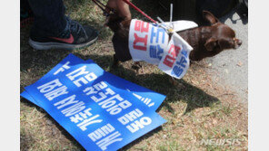 개 식용 논의委, 활동기간 무기한 연장…종식 시기 집중 논의