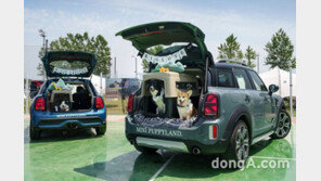 MINI코리아, 반려견과 함께하는 ‘퍼피랜드’ 운영