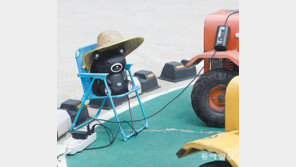 [고양이 눈]까맣게 태웠어요