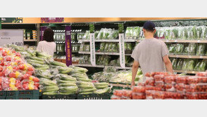 6% 넘보는 물가… 재정-통화 수장 등 긴급회동 “합동대응 강화”