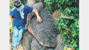 방치된 제주 선사시대 유적… “보존 방안 빨리 마련해야”