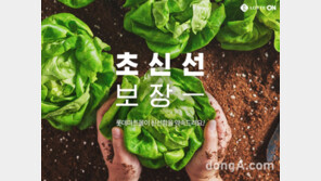 “품질 불만시 회수 않고 바로 환불”…롯데마트·롯데온, 여름철 식품위생 관리 대폭 강화