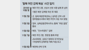 [단독]JSA→靑직보 “기강해이”라던 軍, 무혐의 종결… 靑영향력 의혹 