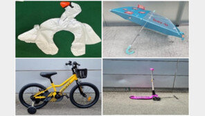 여름철 어린이용 물놀이 기구, 우산 등 56개 제품 리콜명령