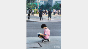 [고양이 눈]그리 재미있니?