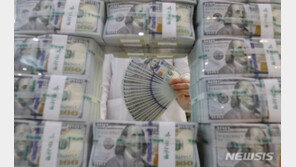 매일 치솟는 환율…1350원도 열어둬야