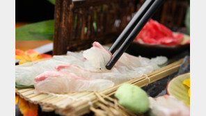 참돔 초밥이라더니 민물고기…유전자 검사서 걸렸다