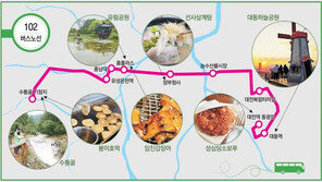 ‘뚜벅이 여행객’의 동반자로 카페촌-유림공원-수통골 관통