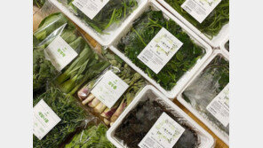 “33시간내 바다서 식탁까지”… 농축수산물 전문 플랫폼 전성시대