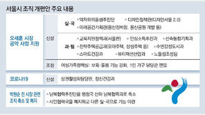 사회적 약자 지원 조직, 시장 직속으로 