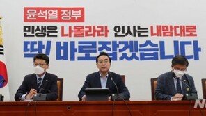 민주, 尹 비선·친인척 의혹 쟁점화 총력전…“제정신이냐” “최순실 데자뷰”