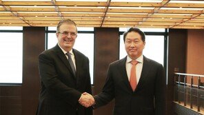 최태원, 멕시코 외교장관 만나 부산엑스포 유치 지지 요청