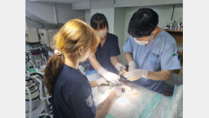 도시생활 얼마나 힘겨웠니…너희, 서울을 뜨지 않았구나