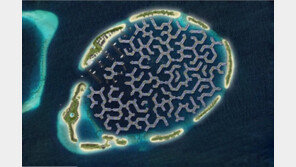 가라앉는 몰디브, ‘수상 도시’로 건설한다