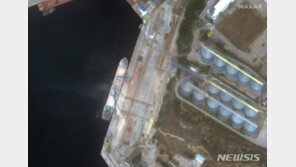 우크라 “튀르키예, 곡물 훔친 러 상선 압류했다 풀어줘…대사 초치”