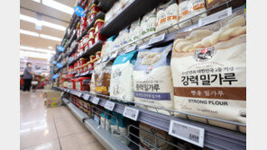 세계식량가격 3개월째 하락세…육류·유제품 상승세는 지속