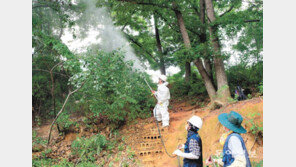 주택가 인근 야산서 해충 방역