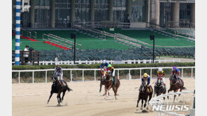 과천 경마장 관중석에 있던 관람객 쓰러져 숨져