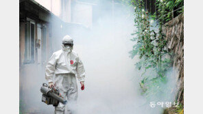 “사랑벌레 퇴치”… 도심속 방역 총력전 