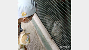 [고양이 눈]너는 누구니?