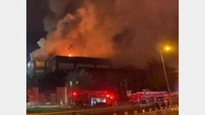 ‘동방불패’ 임청하 1800억원 초호화 저택 불탔다