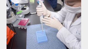 질병청, BA.4·BA.5 변이주 분양…“백신·치료제 개발에 활용”