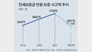 상반기 보증기관이 갚은 전세보증금 3407억… 사상 최대 