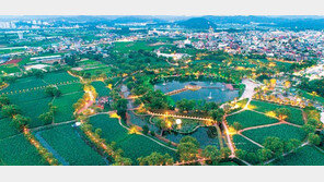 부여서동연꽃축제 14일 개막… 수상 뮤지컬 등 볼거리 풍부