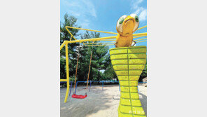 [고양이 눈]텅 빈 잠자리 그네