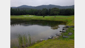 “두 딸 결혼 앞두고 허망하게 떠나” 골프장서 숨진 50대 근로자