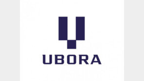 반도건설, 2세대 ‘유보라 BI’ 공개