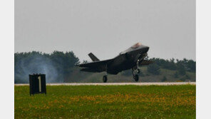 한미 F-35 스텔스기 첫 콜라보…주한미군 F-16 교체 시사?
