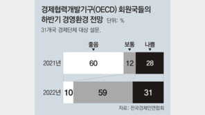 하반기 경영환경 “좋음” 10%… 1년새 50%P 하락 