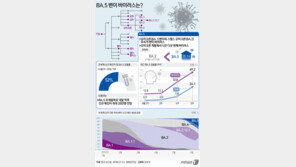 재유행 몰고올 ‘BA.5’ 비중 한주만에 28%→35%…“곧 우세종”