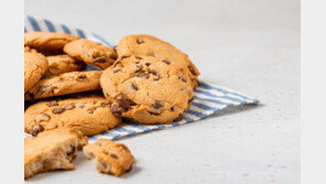 “과자 먹었지?”…룸메이트 CCTV로 감시하고 살해한 20대