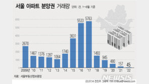 상반기에 45건…집값 하락에 아파트 분양권 거래 ‘역대 최저’