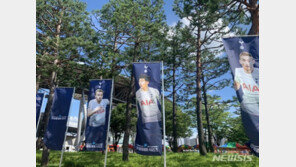 “손흥민 보기 좋은 날씨예요”…축구 축제 열린 빅버드