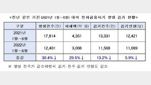 올해 상반기 보이스피싱 1만2401건 발생…월평균 피해액 511억원